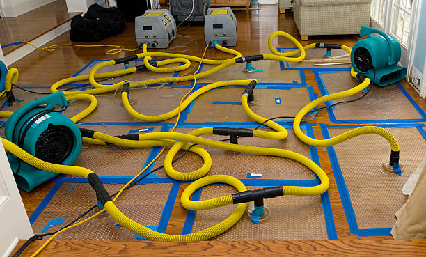 Professional Burst Pipe Water Damage technician working in Linden, AL