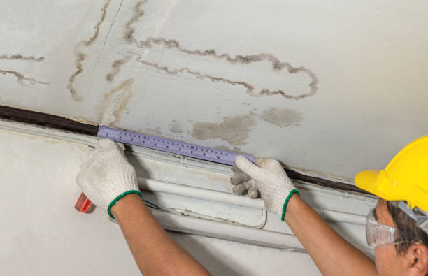 Affordable Water Damage Repair solutions in Linden, AL